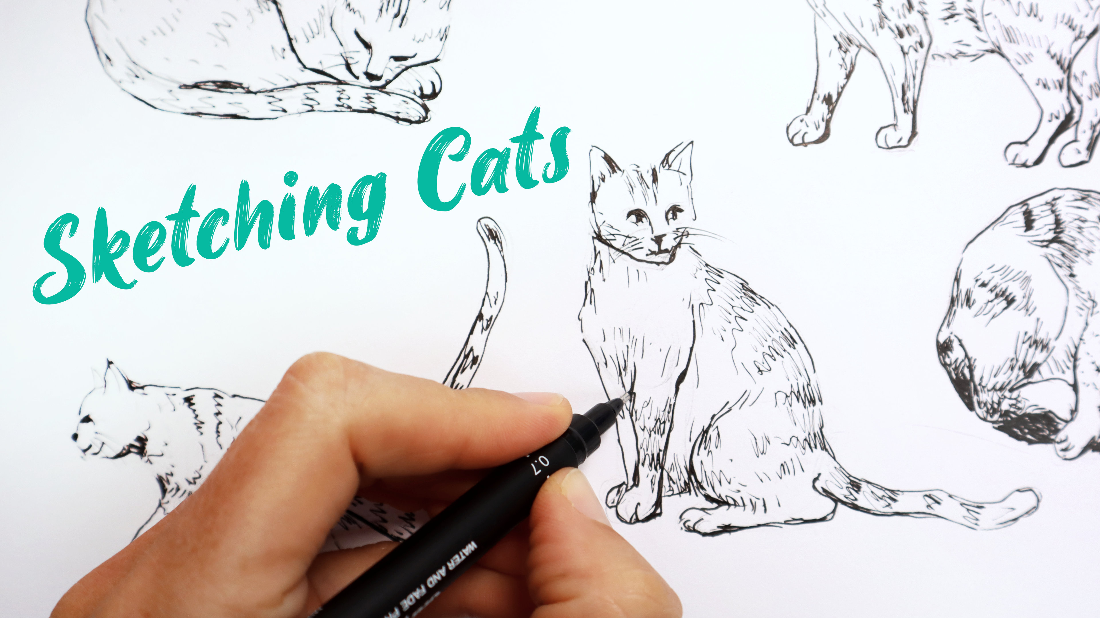 Sketching Cats: Fun Illustration Project (44m)